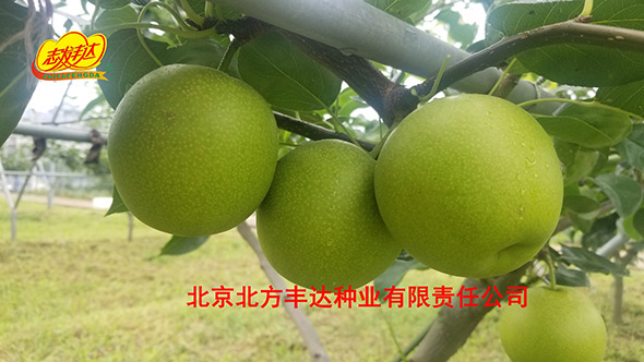 �������������ҵ���޹�˾